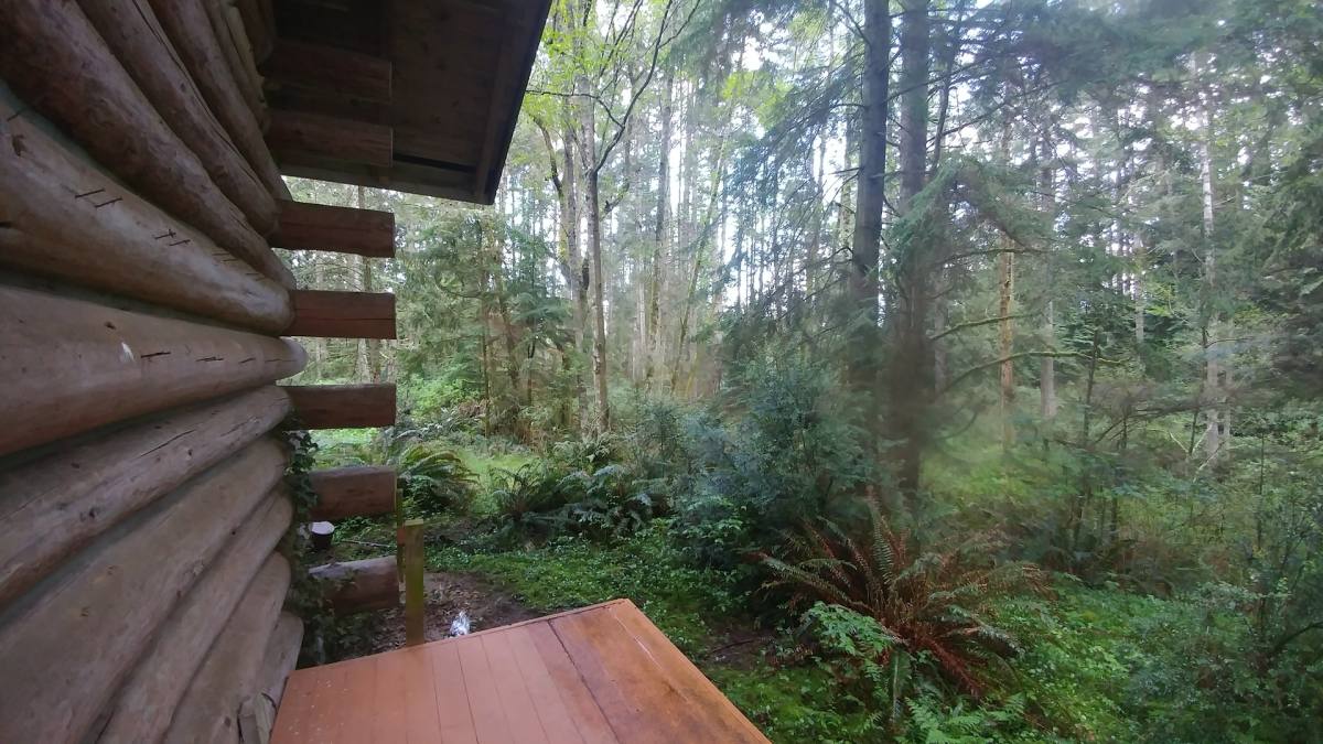 House for rent at 4778 Pinewood Circle, Langley, WA 98260