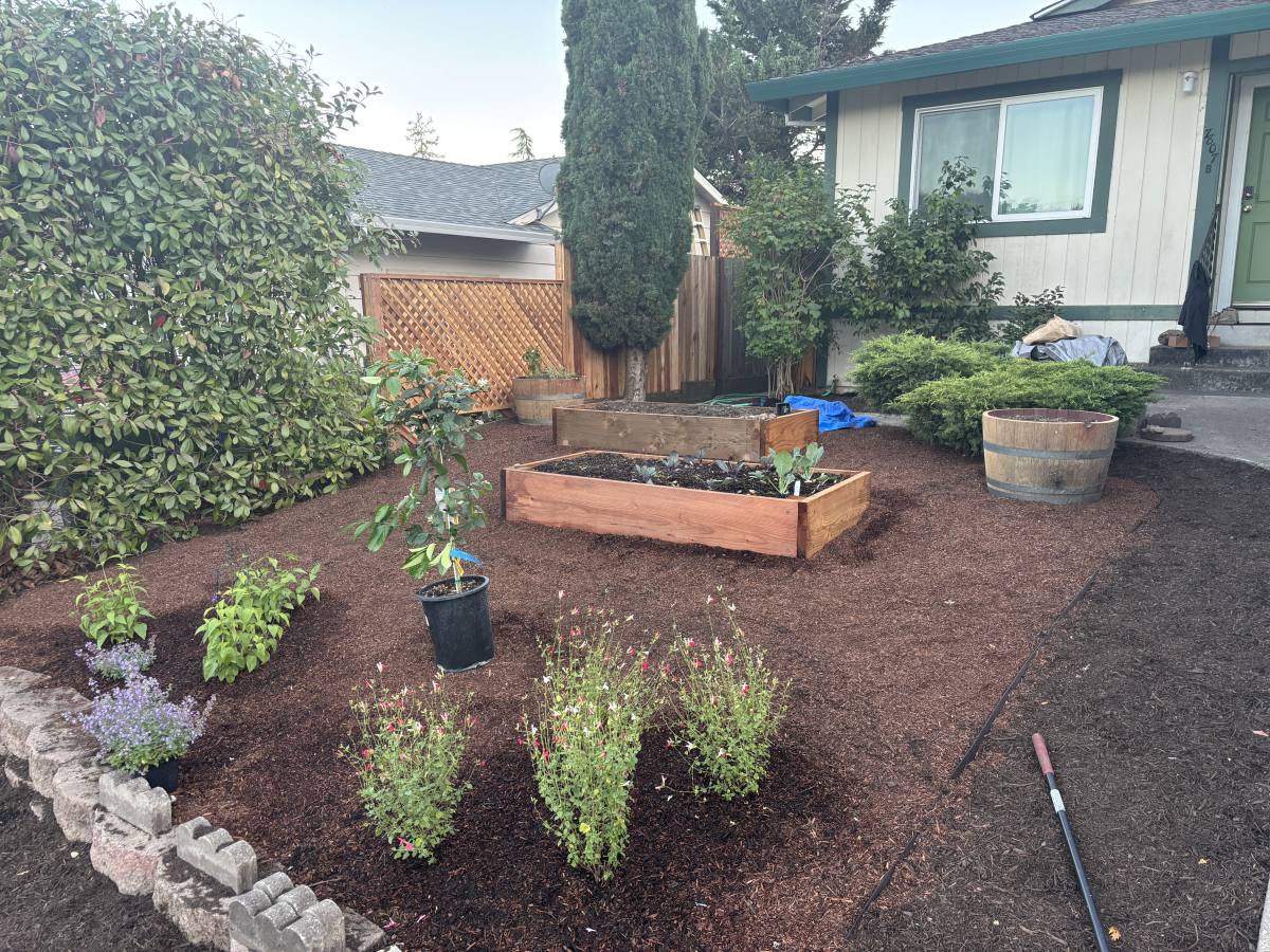 House for rent at 7807 Stefenoni Court #B, Sebastopol, CA 95472