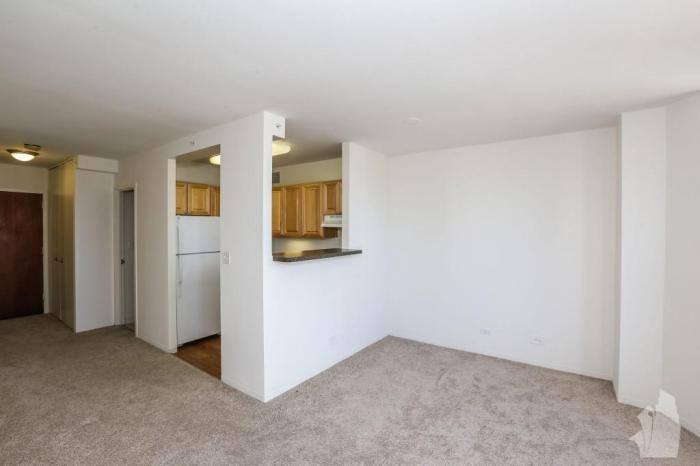 Townhouse for rent at 320 W Illinois St #209, Chicago, IL 60654