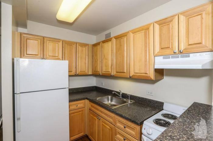 Townhouse for rent at 320 W Illinois St #209, Chicago, IL 60654