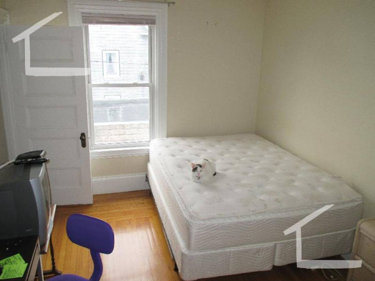 House for rent at 39 Montcalm Ave #4, Brighton, MA 02135