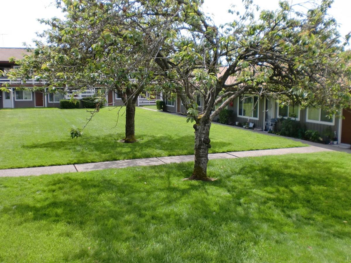 Apartment for rent at 3918 S 108th St, Lakewood, WA 98499