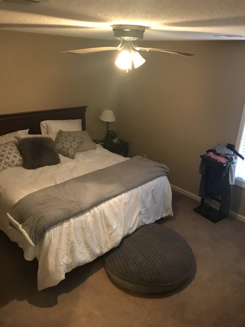 House for rent at 104 Bailey Patricia, Oxford, MS 38655