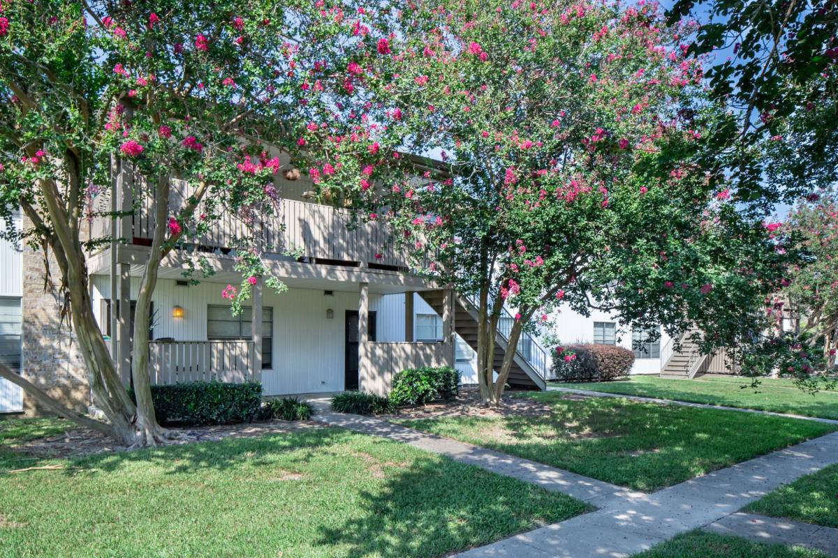 Apartment for rent at 300 McDonald St, Lafayette, LA 70506