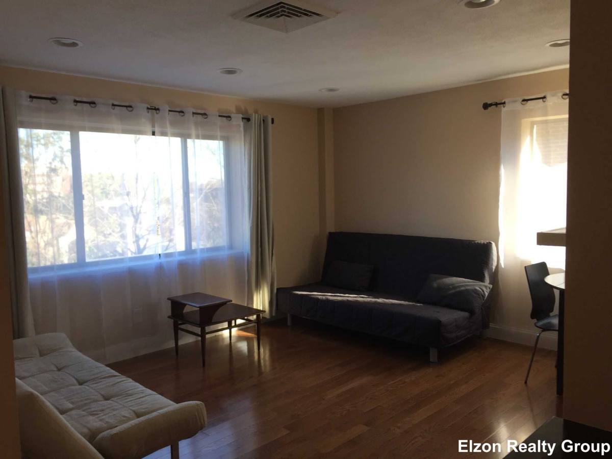 Apartment for rent at 286 Chestnut Hill Ave, Brighton, MA 02135