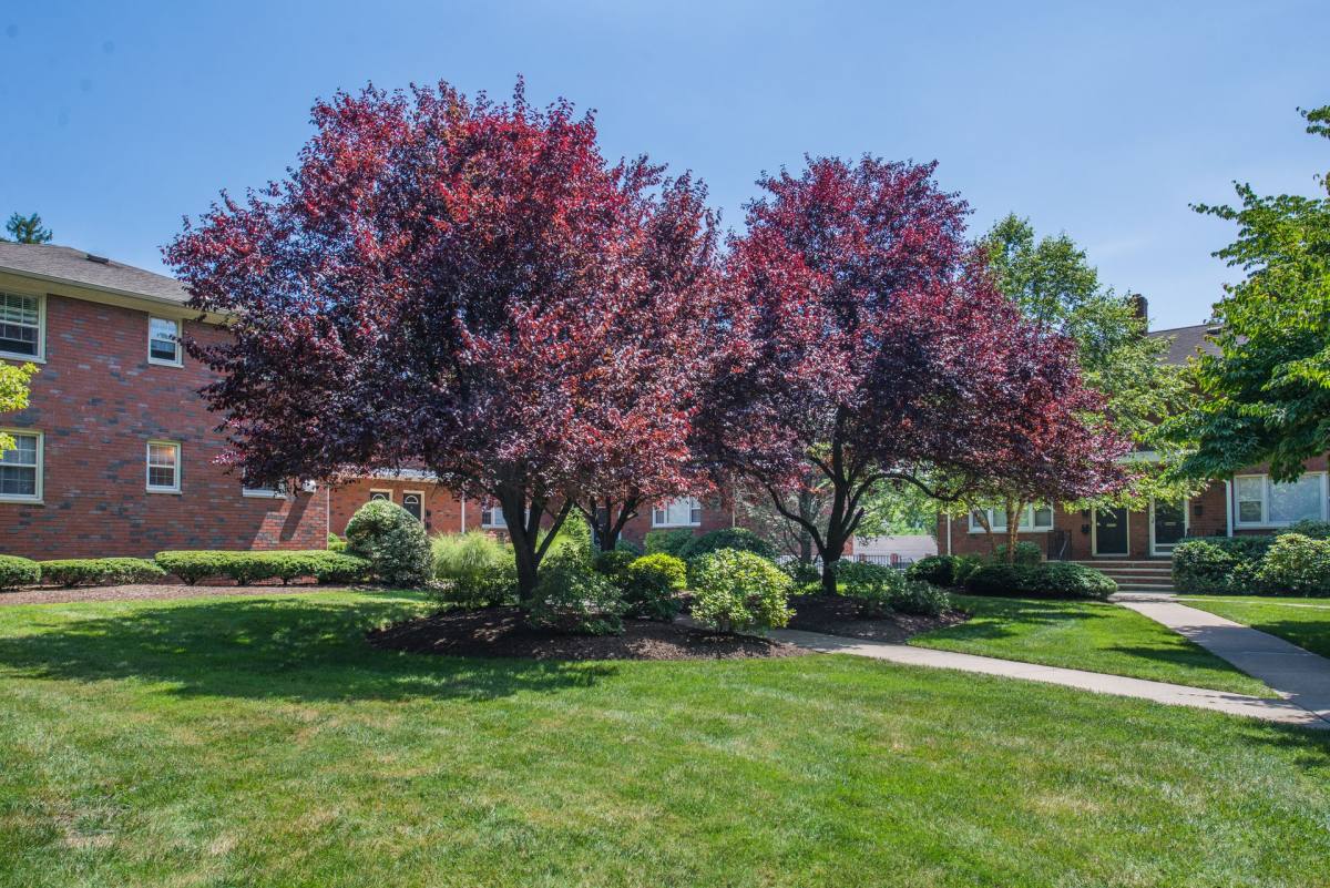 Apartment for rent at 18 Engle St, Tenafly, NJ 07670