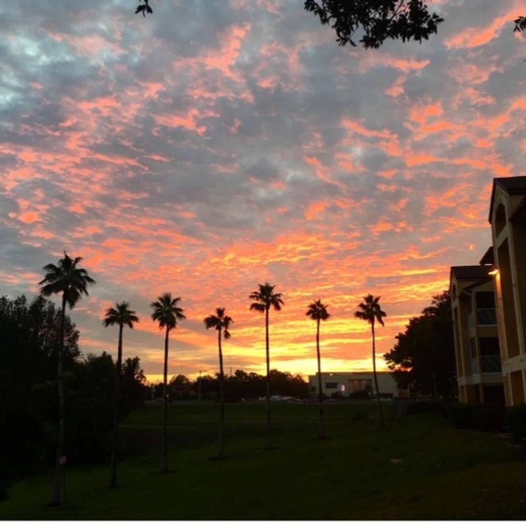 House for rent at 8939 Latrec Ave #BLDG 1, 205, Orlando, FL 32819