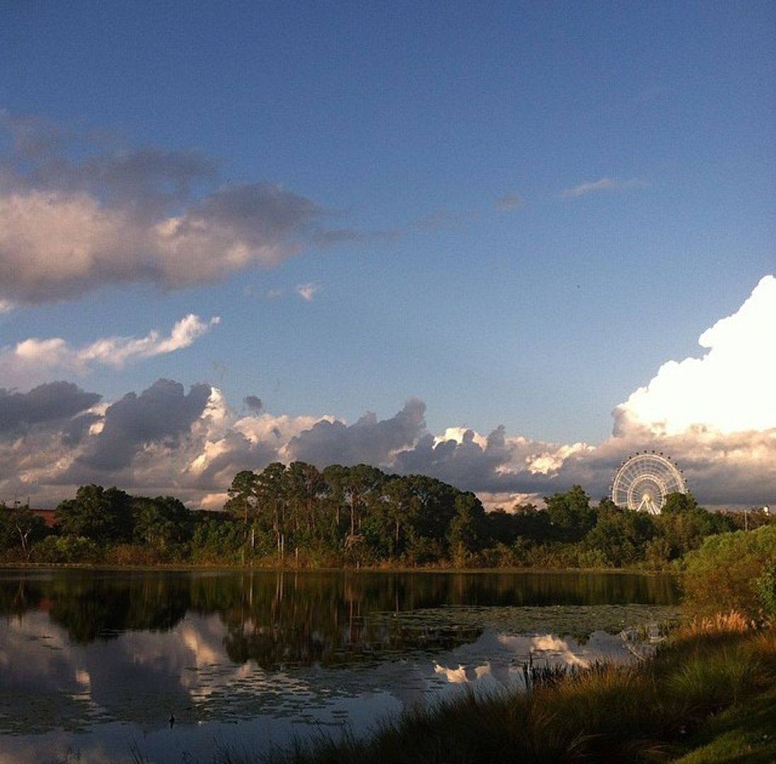 House for rent at 8939 Latrec Ave #BLDG 1, 205, Orlando, FL 32819
