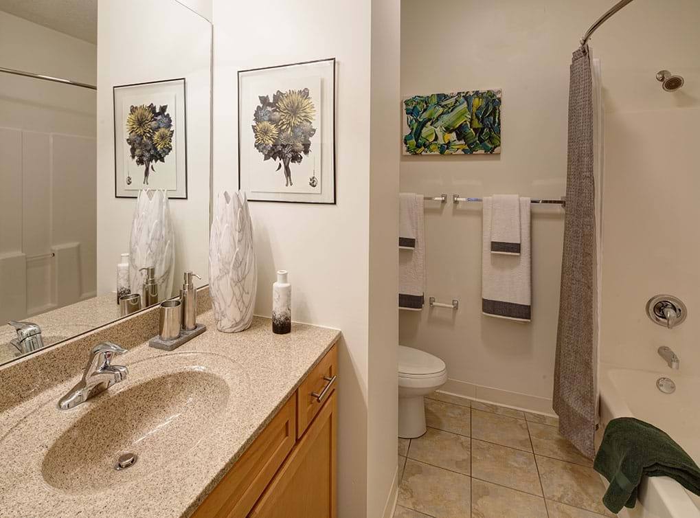 Apartment for rent at 914 S Clark #5, Chicago, IL 60605