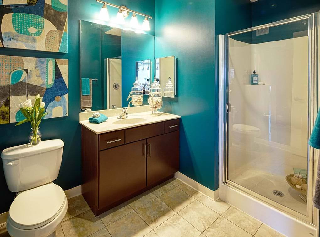 Apartment for rent at 914 S Clark #5, Chicago, IL 60605