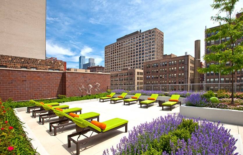 Apartment for rent at 716 S Clark #1, Chicago, IL 60605