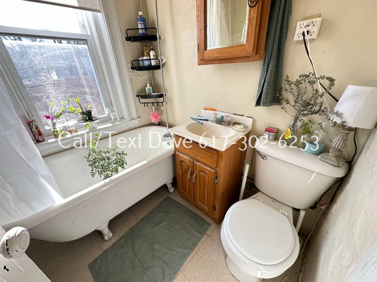 Apartment for rent at 60 Woodstock Ave #4, Brighton, MA 02135