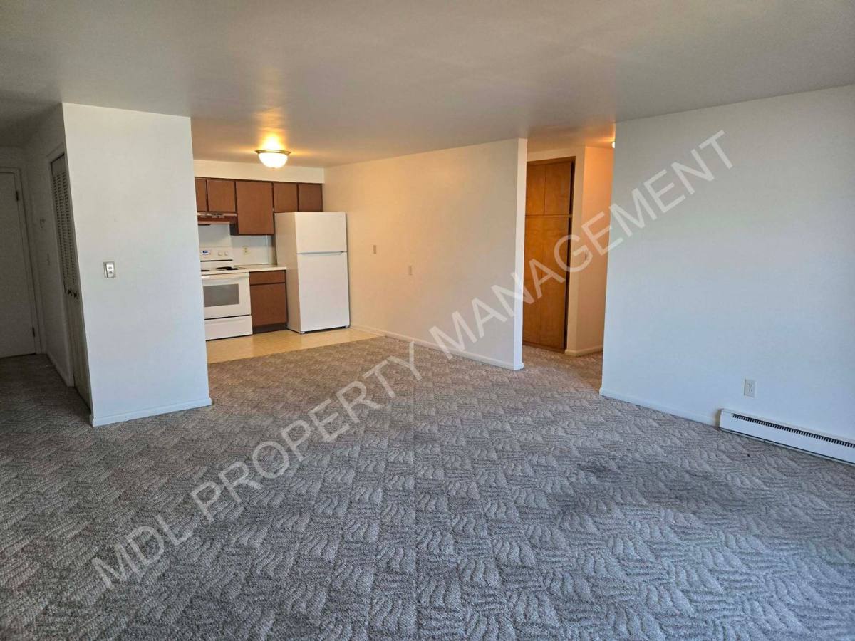 Apartment for rent at 121 N Woodbridge, Saginaw, MI 48602