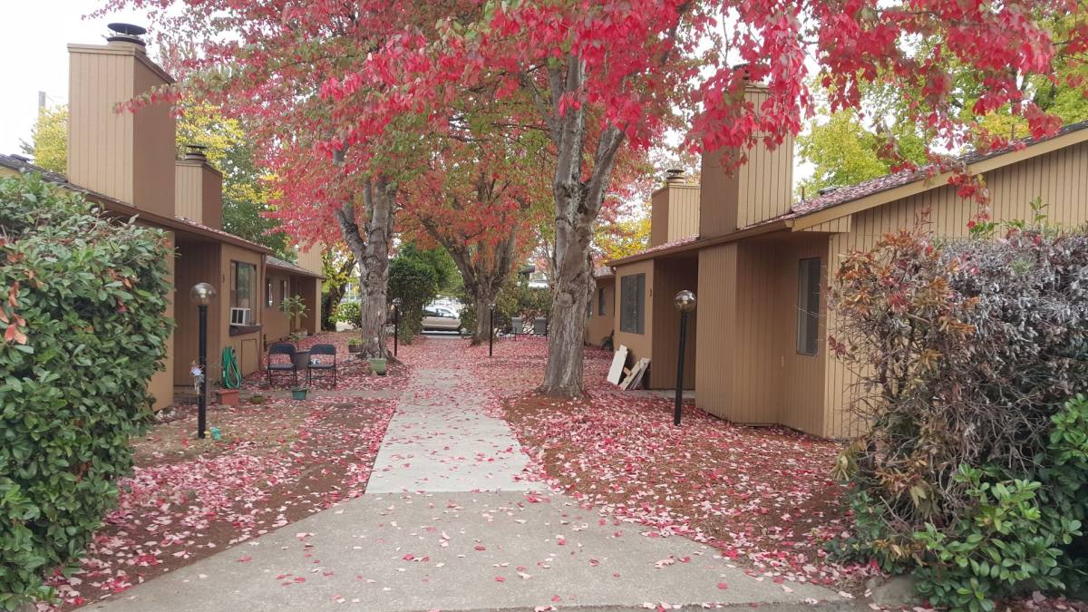 Apartment for rent at 1304 & 1342 Chambers St, Eugene, OR 97402