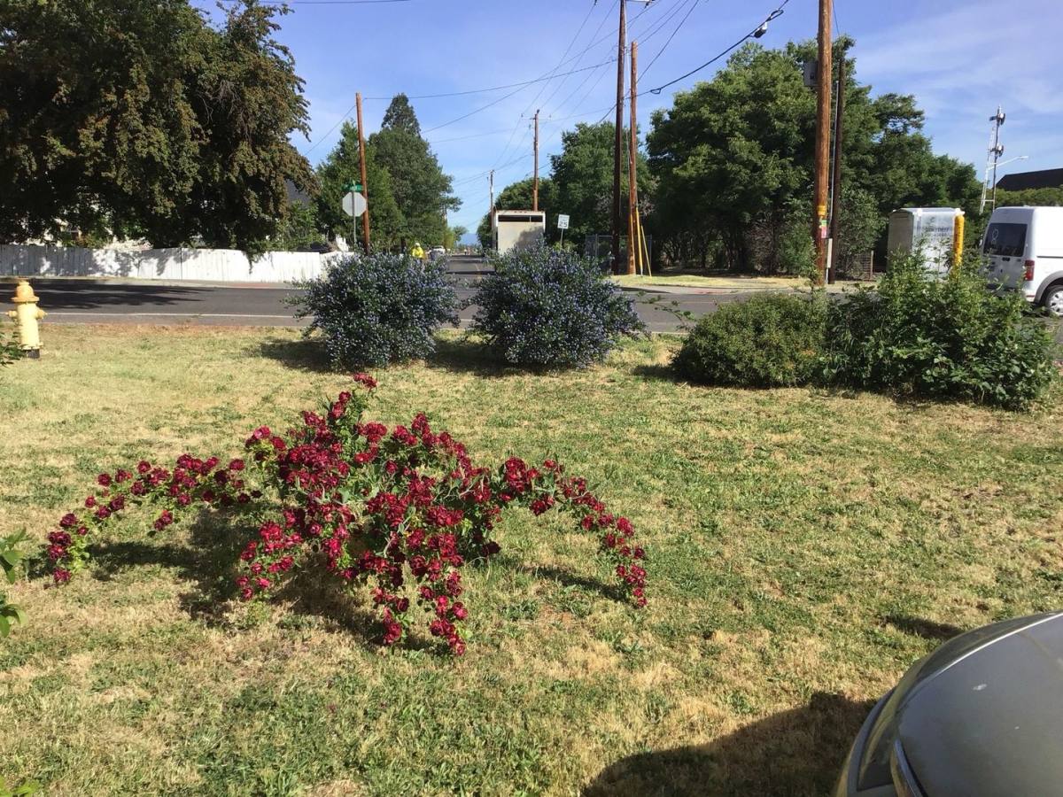 Apartment for rent at 101 W Main St, Talent, OR 97540