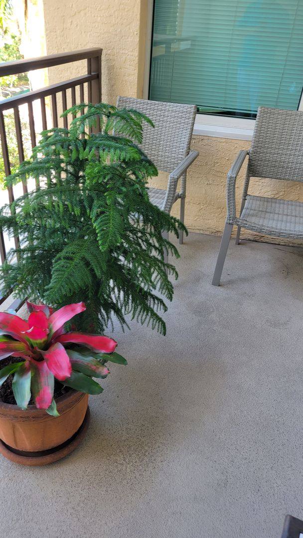 House for rent at 750 N Tamiami Trail #405, Sarasota, FL 34236