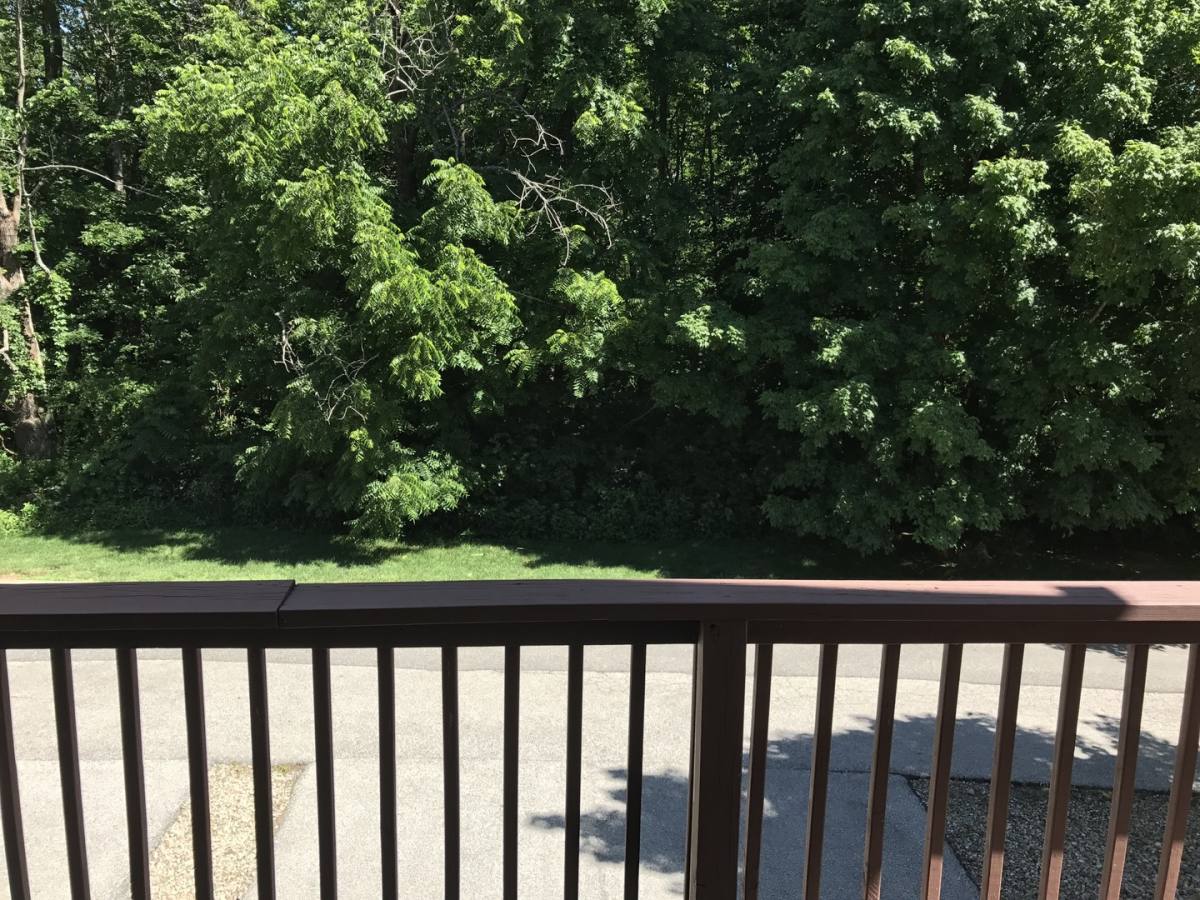 Townhouse for rent at 3835 Lydia Lane, Bloomington, IN 47401