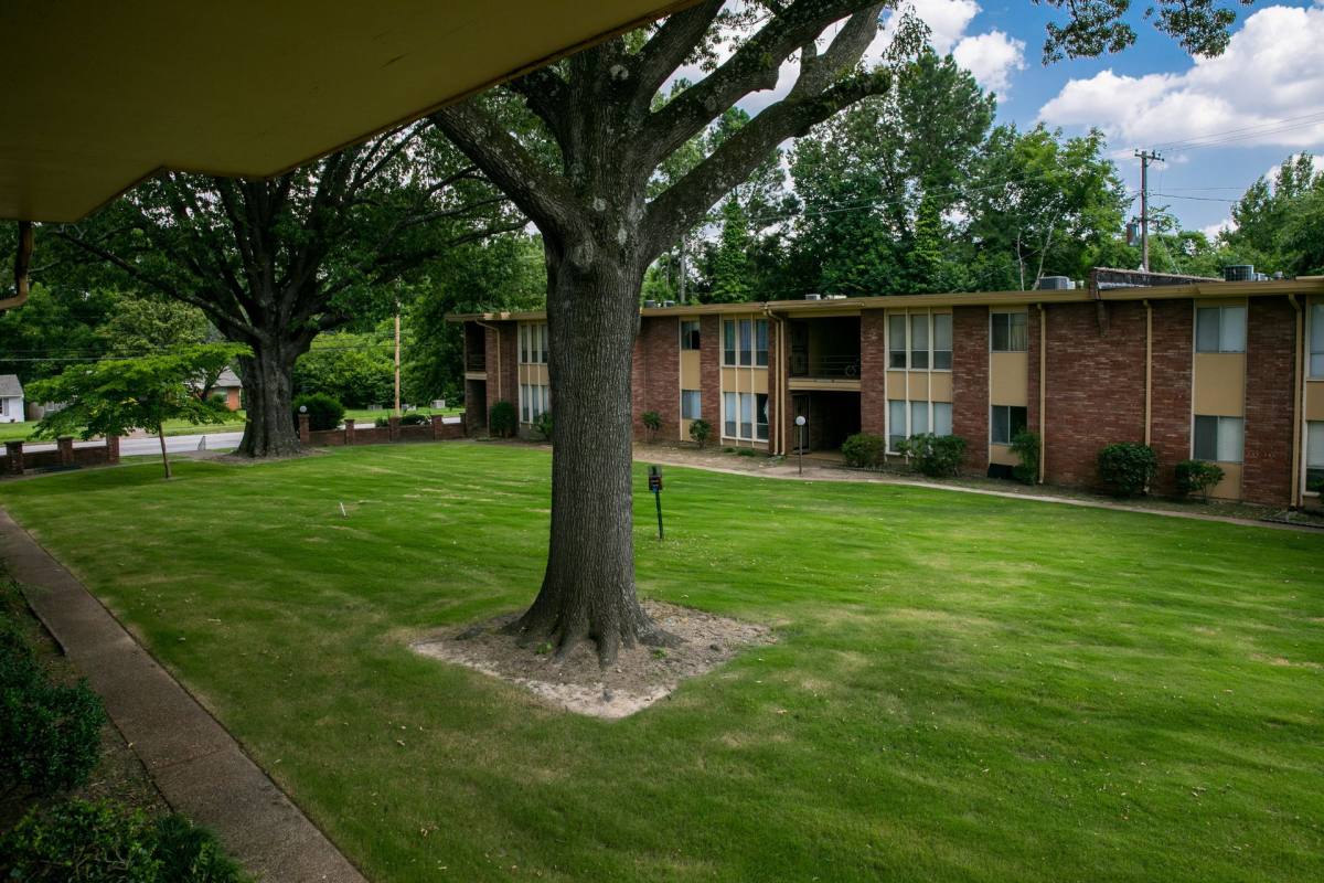 Apartment for rent at 427 N Graham, Memphis, TN 38122