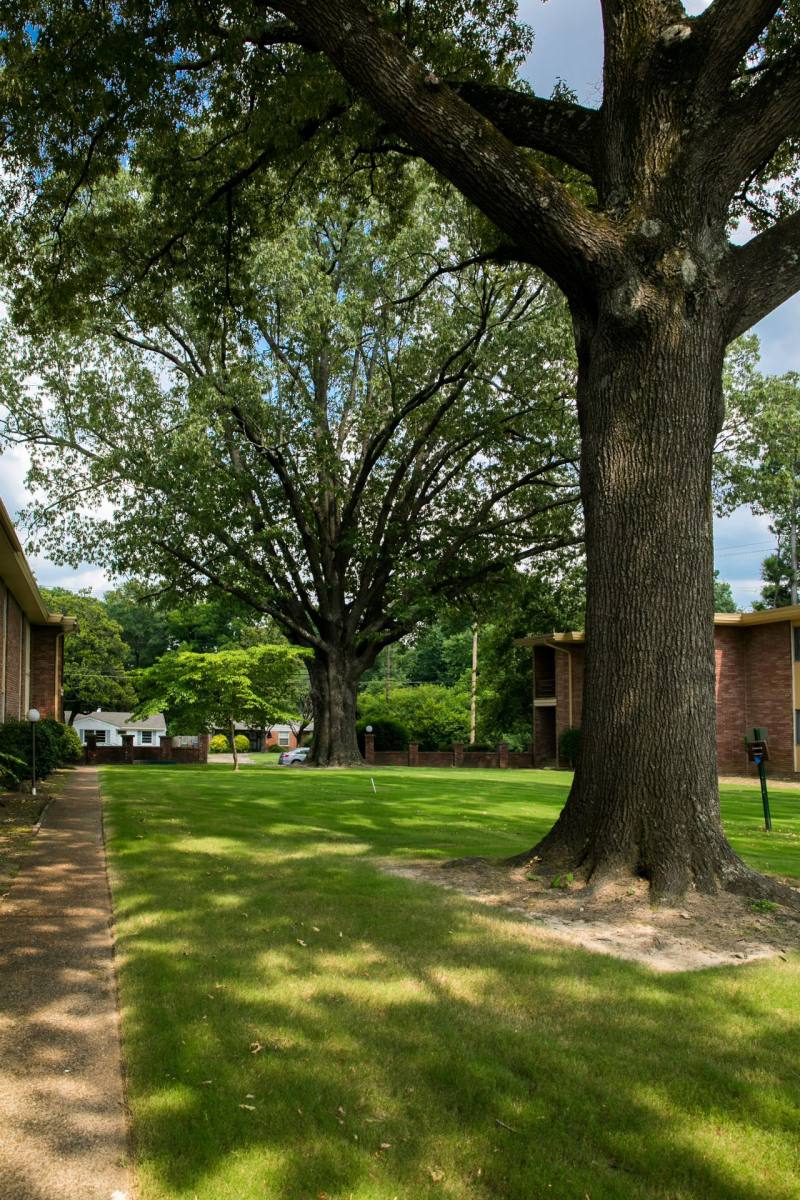 Apartment for rent at 427 N Graham, Memphis, TN 38122