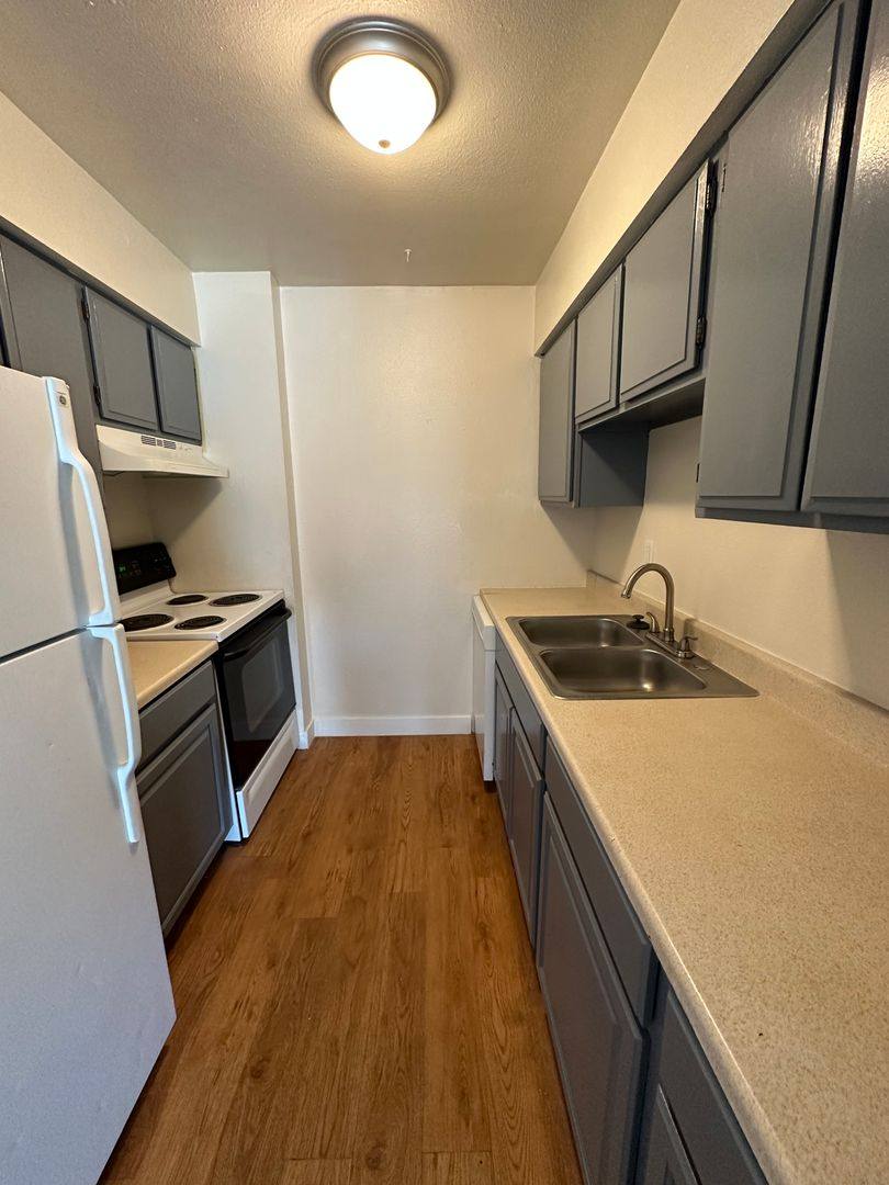 Apartment for rent at 636 N Shields, Fort Collins, CO 80521