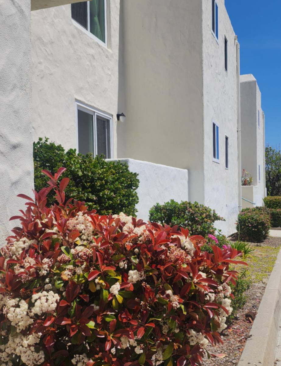 Apartment for rent at 3459 Manchester Ave, Cardiff By the Sea, CA 92007