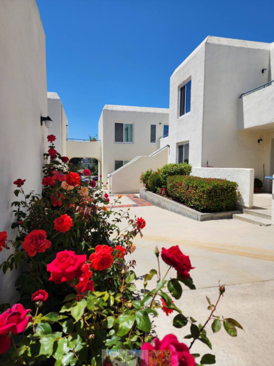 Apartment for rent at 3459 Manchester Ave, Cardiff By the Sea, CA 92007