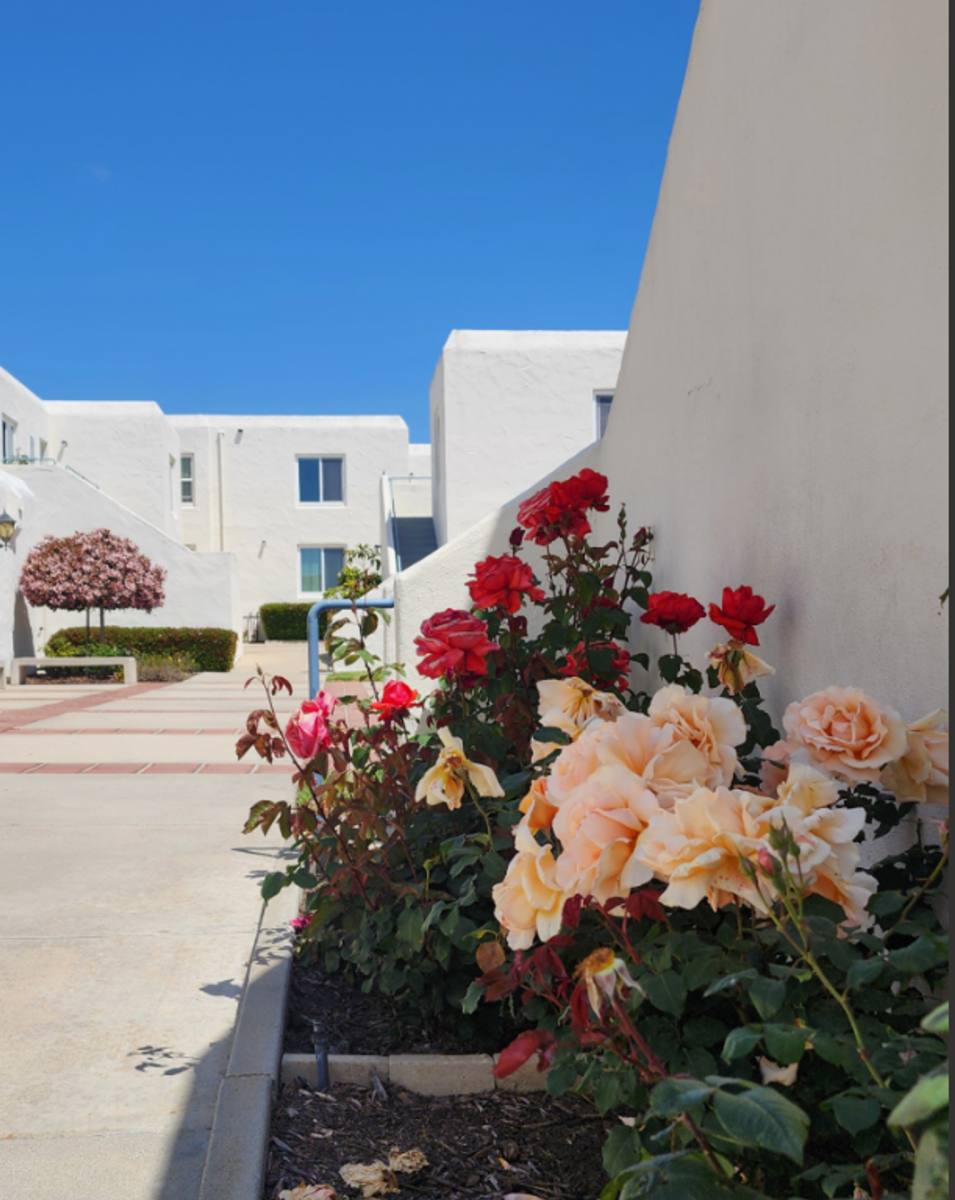 Apartment for rent at 3459 Manchester Ave, Cardiff By the Sea, CA 92007
