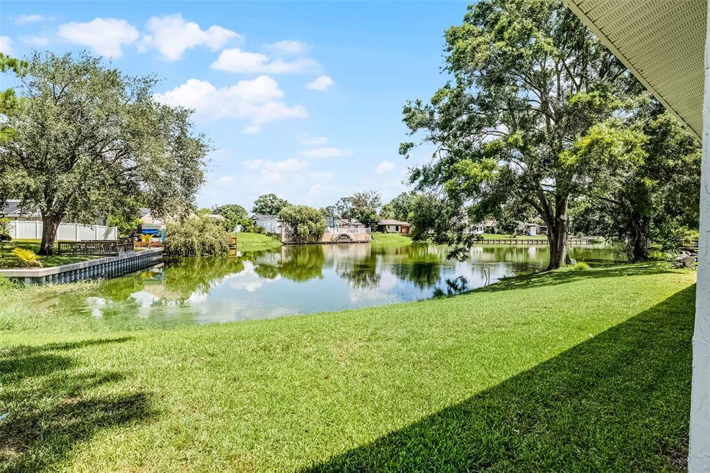 Apartment for rent at 8208 La Serena Dr, Tampa, FL 33614