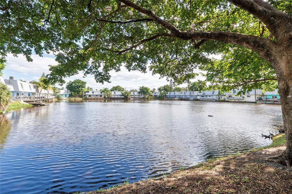 Condo for rent at 4050 NE 12th Terrace #392, Fort Lauderdale, FL 33334