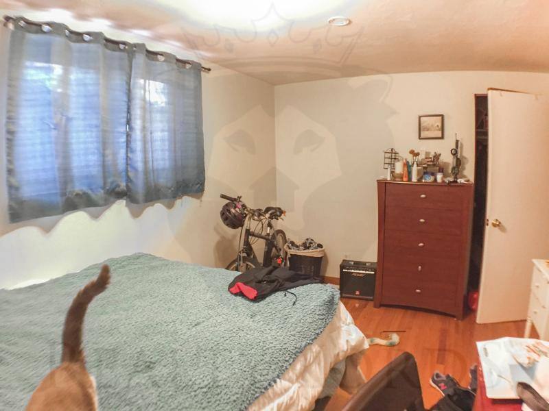 Apartment for rent at 357 Faneuil St #3, Brighton, MA 02135