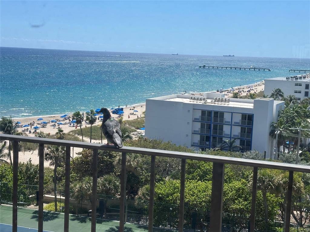 Apartment for rent at 4900 N Ocean Blvd #1003, Fort Lauderdale, FL 33308