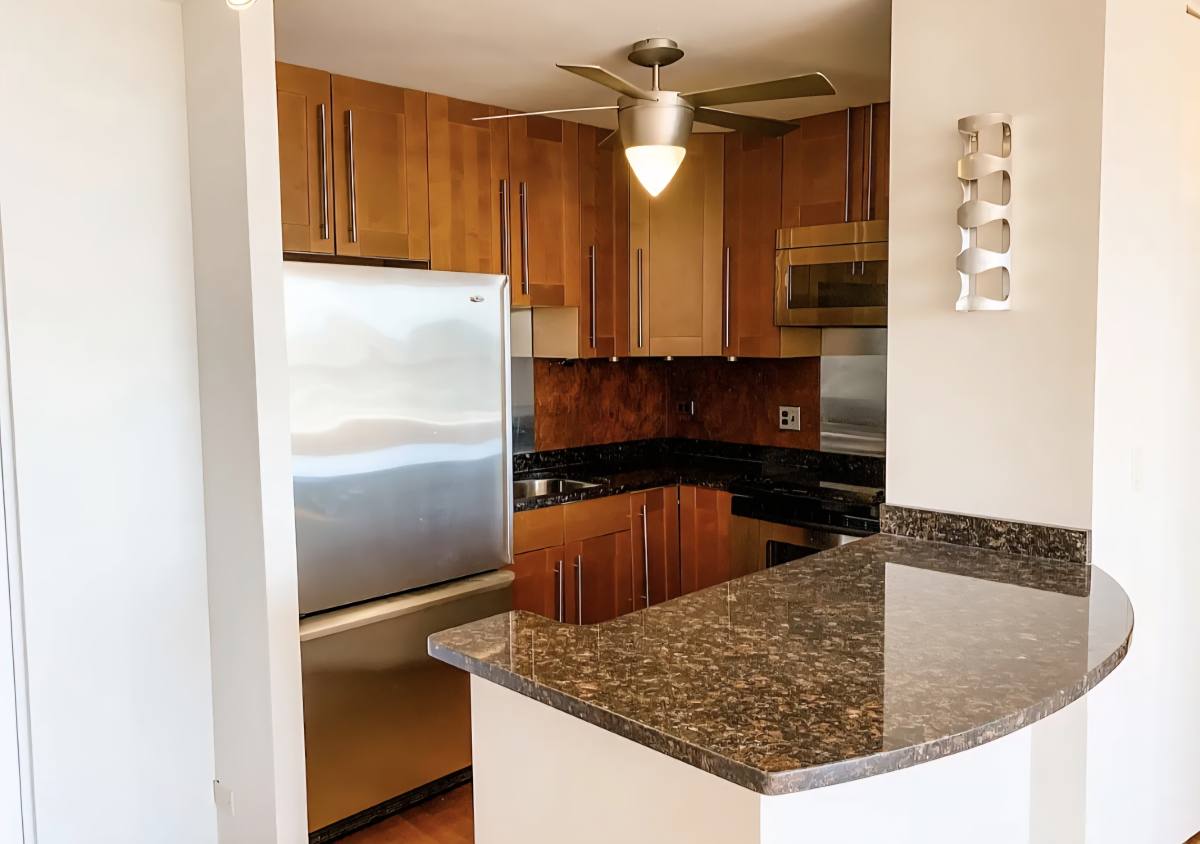 Condo for rent at 70 W Burton Place #1608, Chicago, IL 60610