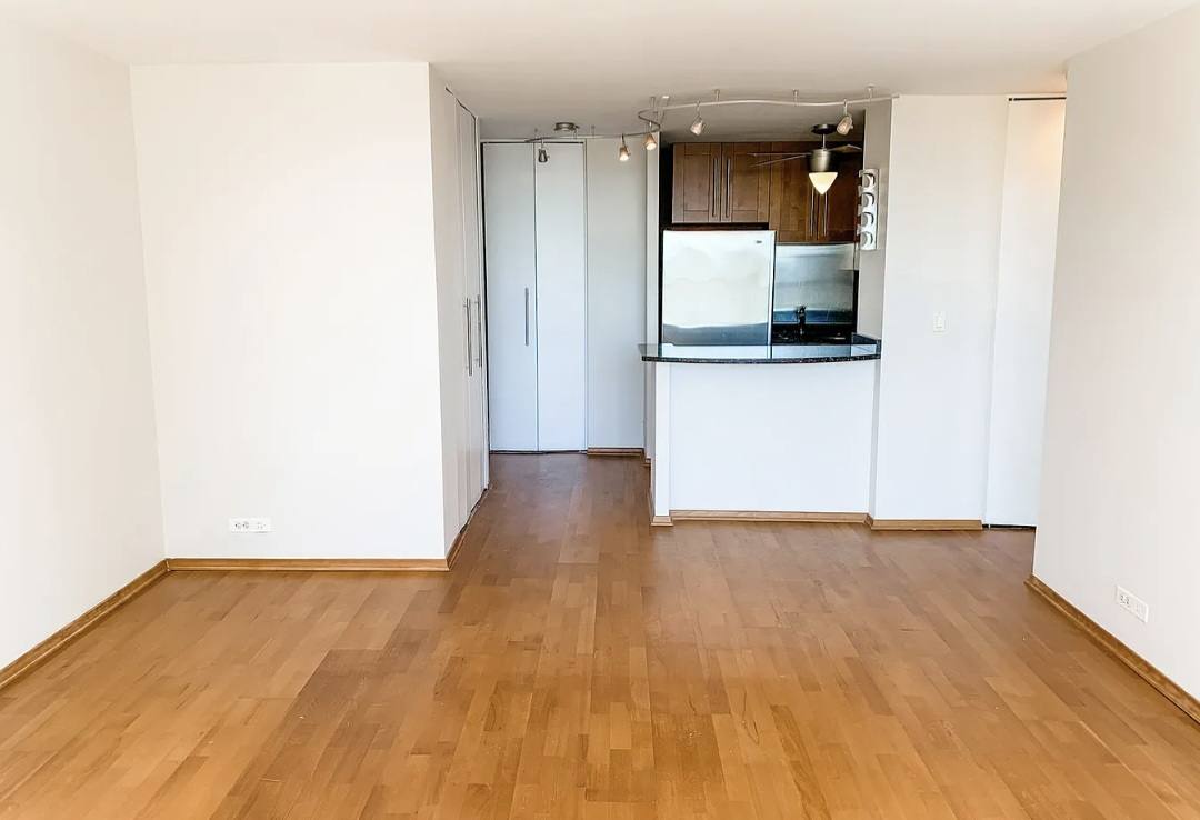 Condo for rent at 70 W Burton Place #1608, Chicago, IL 60610