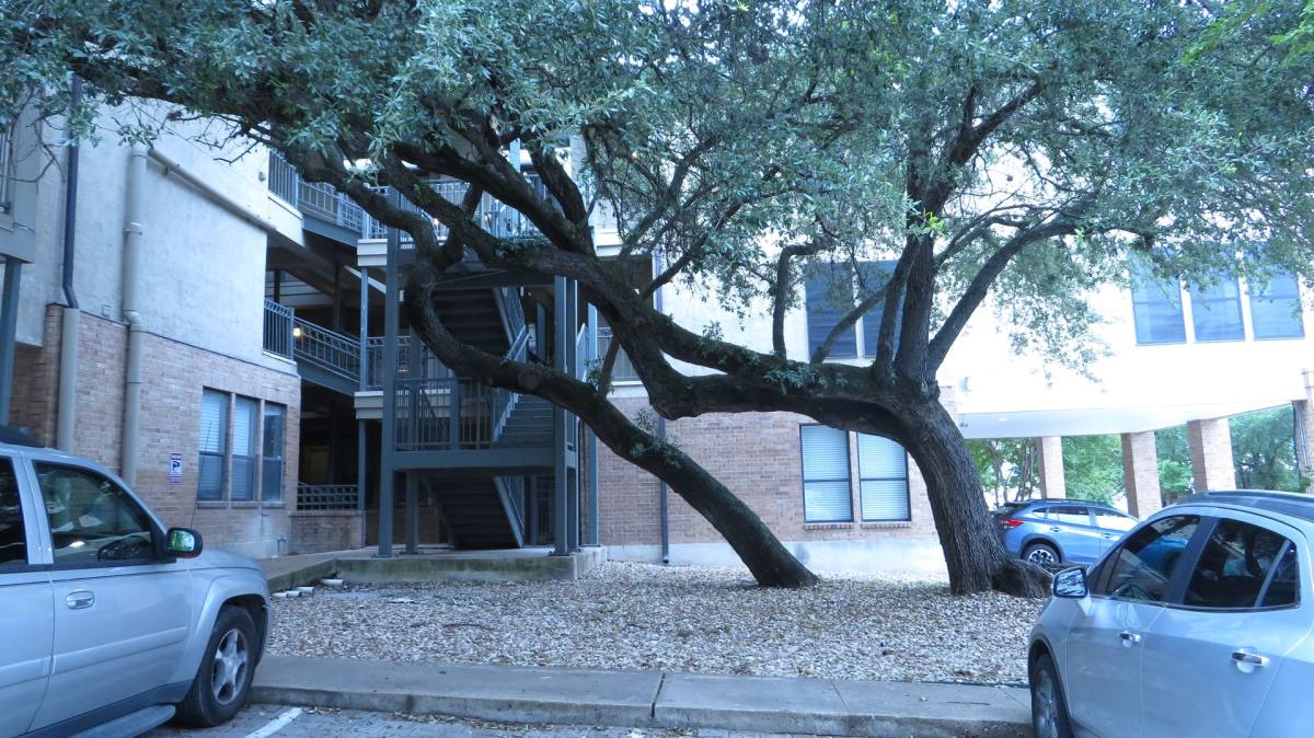 House for rent at 1910 Robbins Place, Austin, TX 78705