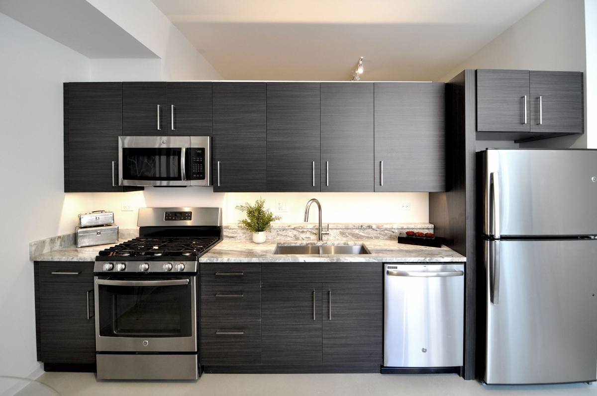 Apartment for rent at 1515 W Haddon Ave, Chicago, IL 60642