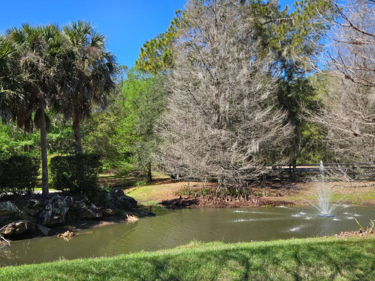 House for rent at 6714 SW 40th Terrace, Gainesville, FL 32608