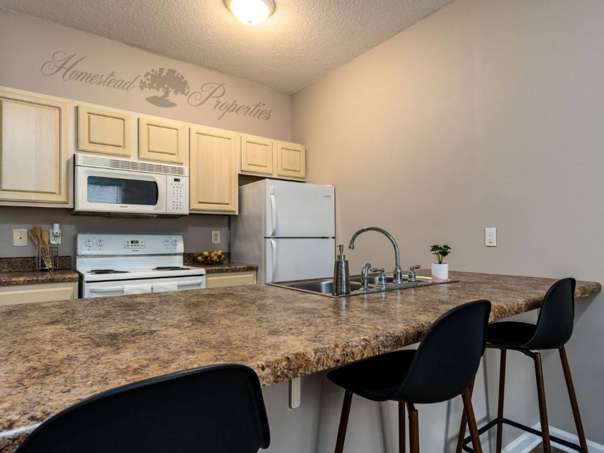 Apartment for rent at 885 W Main St, Johnson City, TN 37604