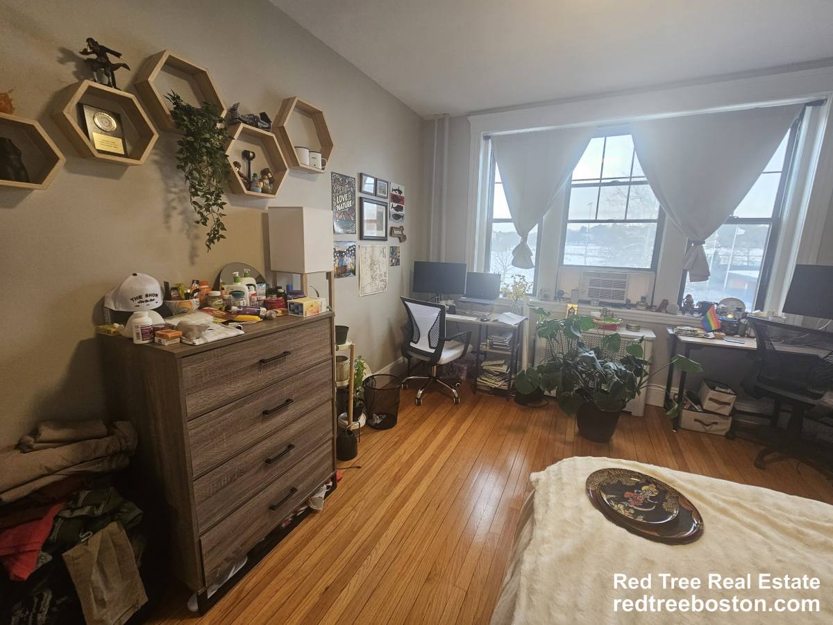 Apartment for rent at 370 Chestnut Hill Ave #35, Brighton, MA 02135