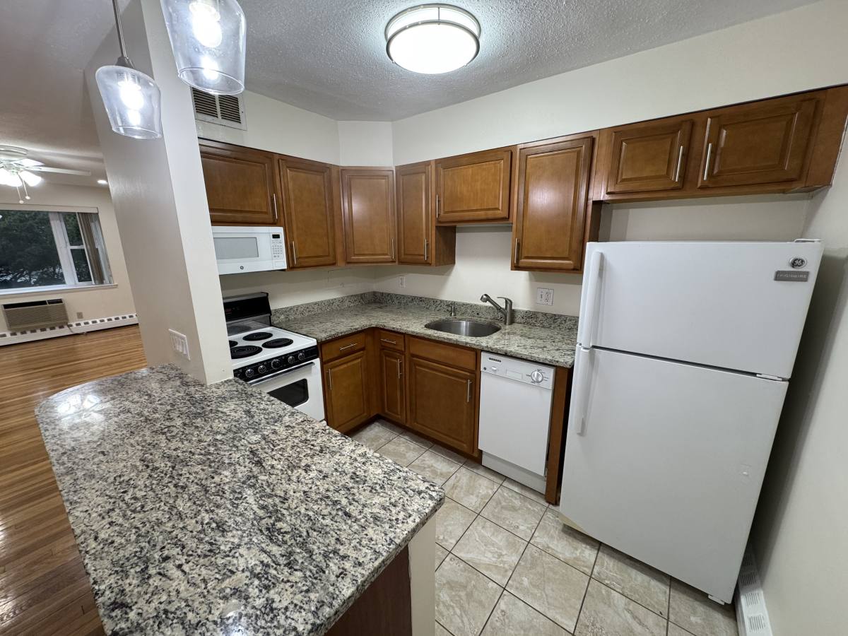 Apartment for rent at 55 Parkman St #3, Brookline, MA 02446