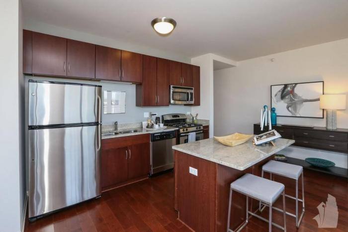 Apartment for rent at 8 E 9th St #3001, Chicago, IL 60605