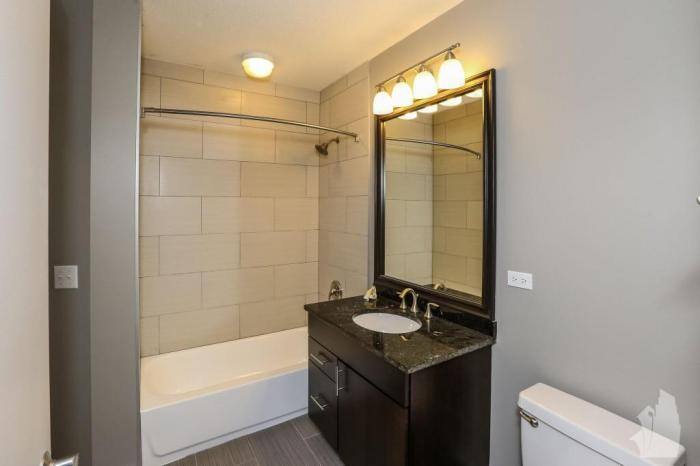 Apartment for rent at 345 E Ohio St #2909, Chicago, IL 60611
