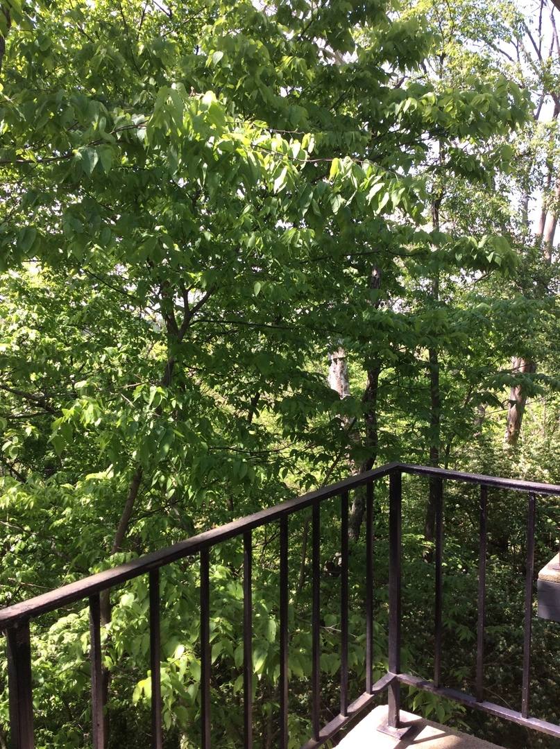 Apartment for rent at 1425-1431 Sunset Ridge Dr, Lafayette, IN 47905