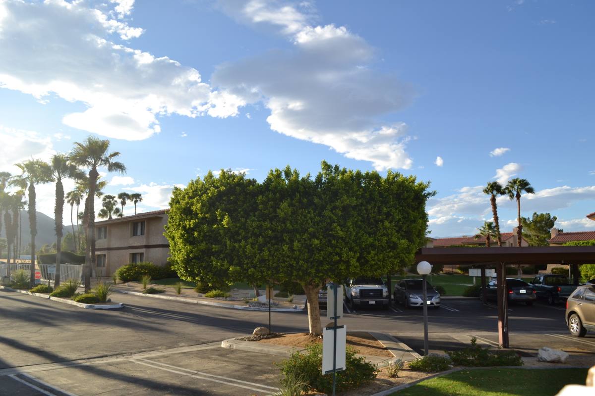 Apartment for rent at 2636 N Indian Canyon Dr, Palm Springs, CA 92262