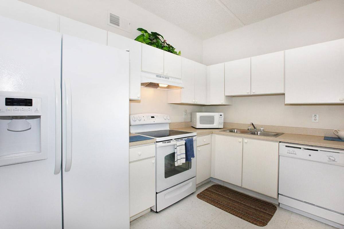 Apartment for rent at 8351 James Joseph Way, Port Richey, FL 34668