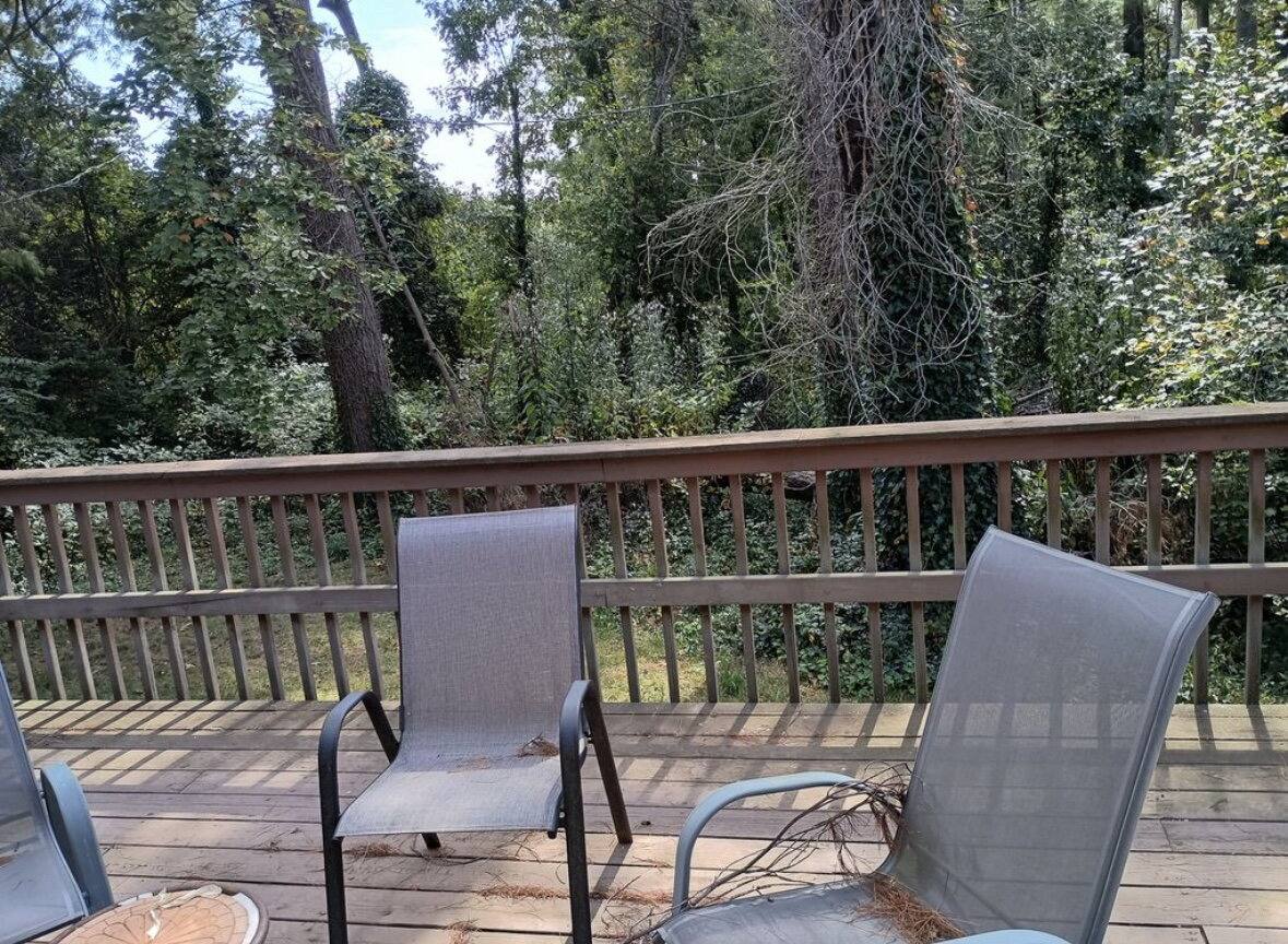 House for rent at 1065 Mountain View St, Hendersonville, NC 28739
