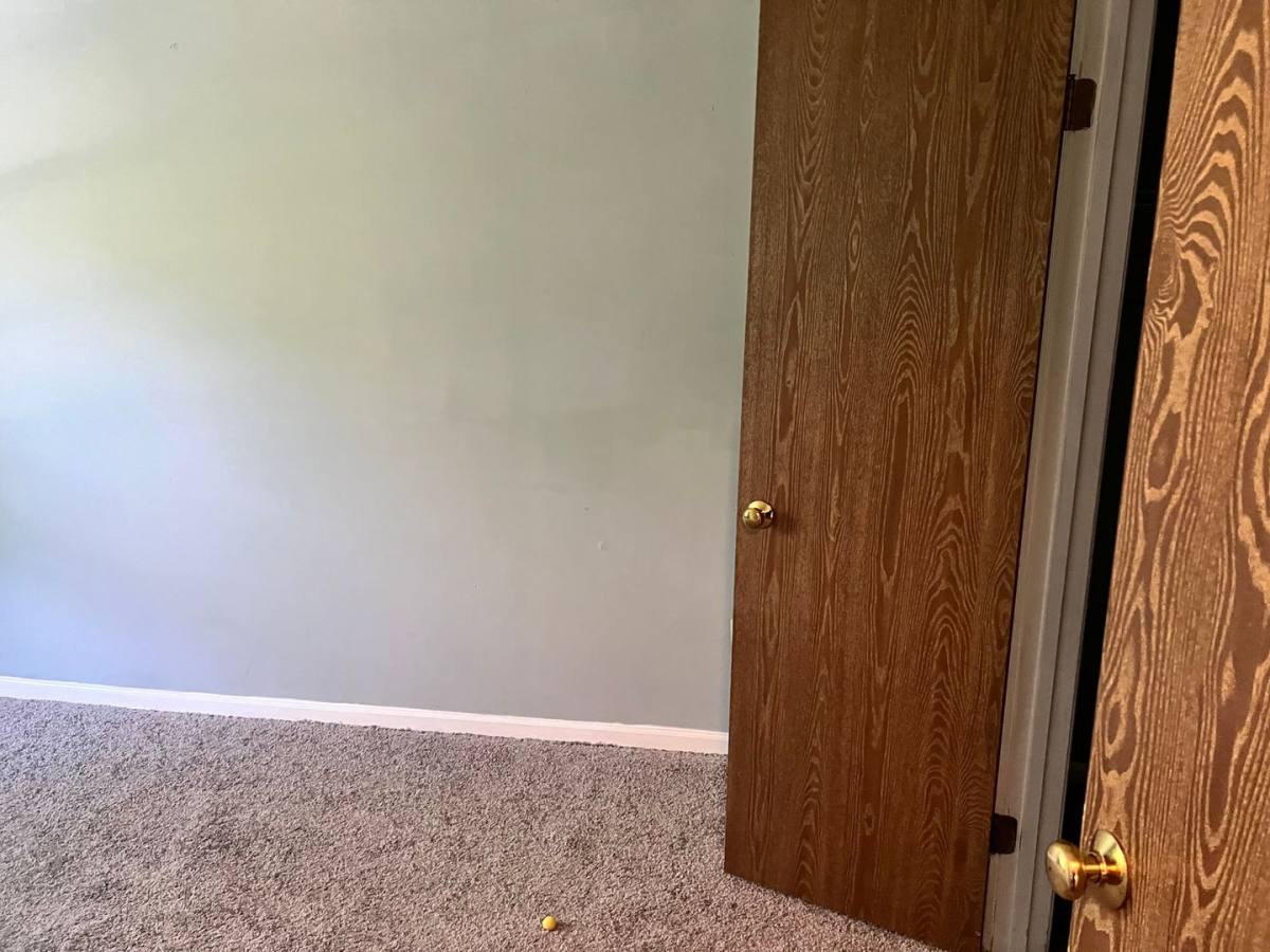 House for rent at 3212 Tapestry Circle, Burtonsville, MD 20866