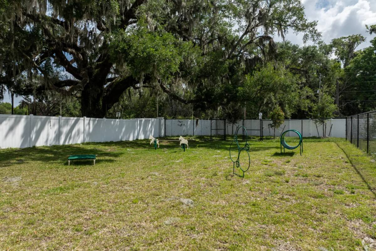 Apartment for rent at 3905 Bahama Dr, Oxford, FL 34484