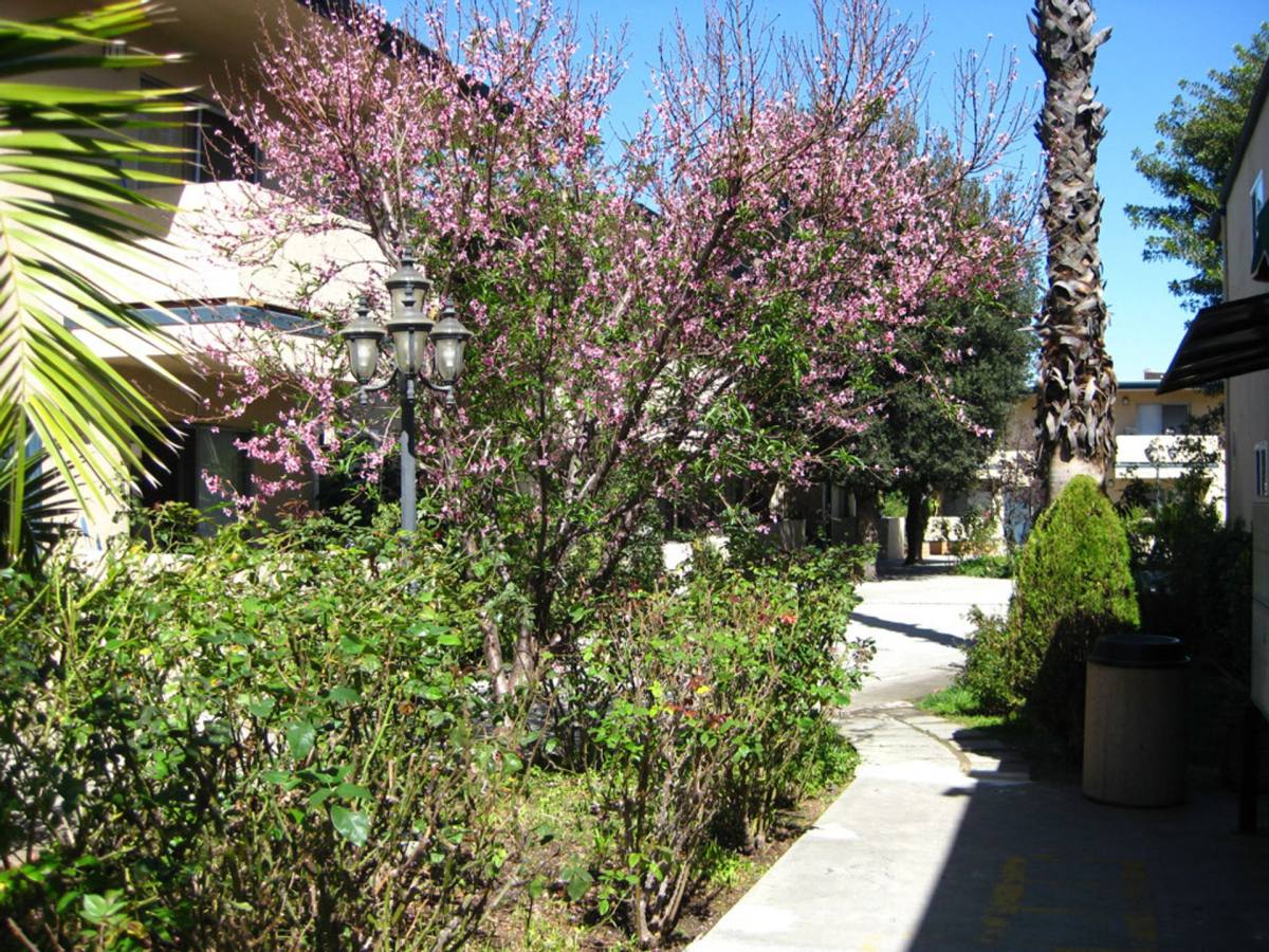 Apartment for rent at 18449 Collins St, Tarzana, CA 91356