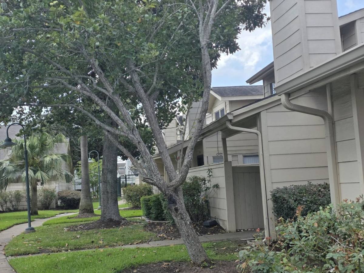 Townhouse for rent at 13034 Leader St, Houston, TX 77072