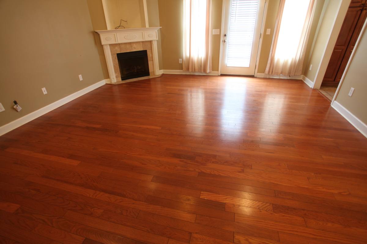 House for rent at 4020 Beth Anne Place, Auburn, AL 36830